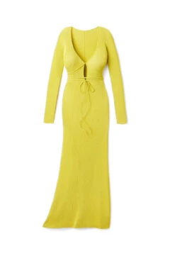 Reagan Maxi Dress -Farm Rio Swimwear Shop REAGAN DRESS Apparel Dress Citron Laydown